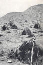 Wickiups used for shelters